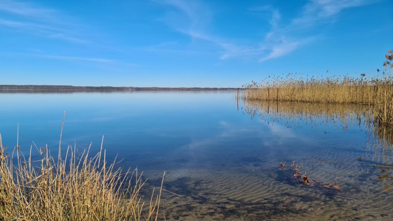 Ferienhaus Seeoase Mit Kamin - Badestelle Fußläufig Joachimsthal